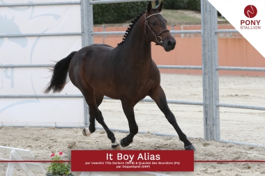 <b>It's Boy Alias par Usandro</b>            Coll priv&eacute; Le Guen